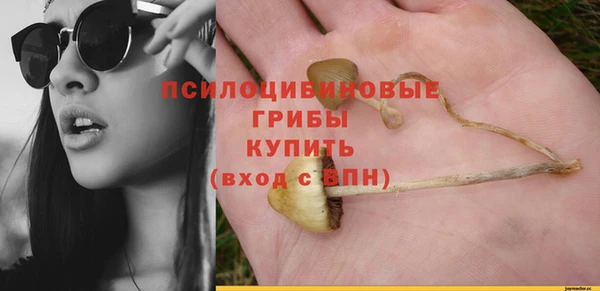 мяу мяу мука Ростов