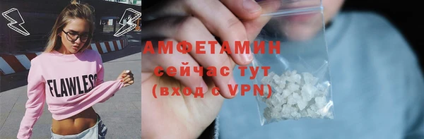 дурь Бородино