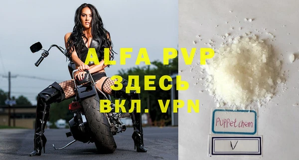 дурь Бородино